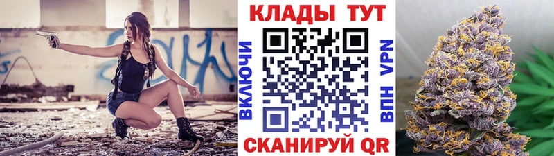Купить закладку Alpha-PVP  Меф  ГАШИШ  Новозыбков