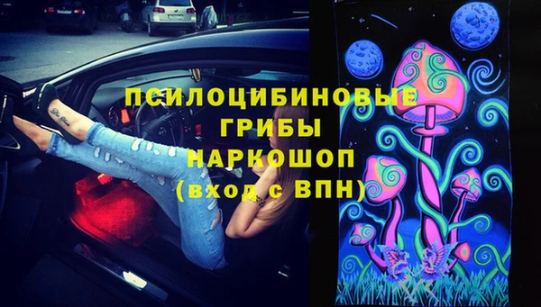 синтетический гашиш Няндома