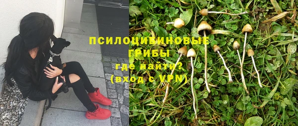 крисы Нягань