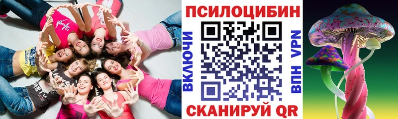 Купить  Новозыбков  Галлюциногенные грибы GOLDEN TEACHER 